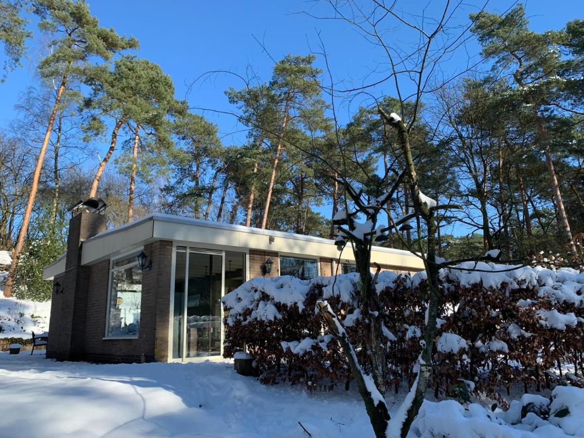 Het Fazantenbosje Villa Dalfsen Buitenkant foto