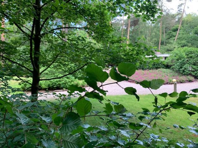 Het Fazantenbosje Villa Dalfsen Buitenkant foto