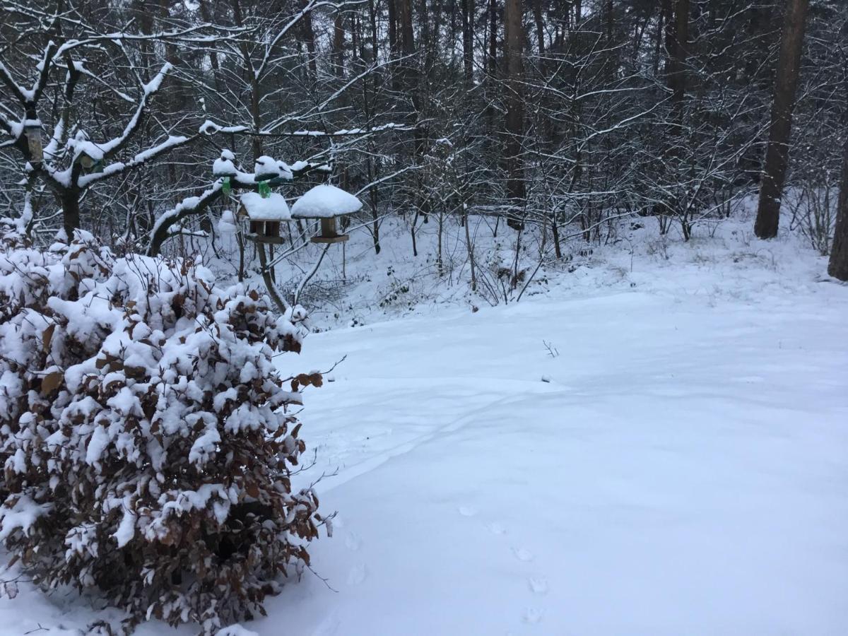 Het Fazantenbosje Villa Dalfsen Buitenkant foto