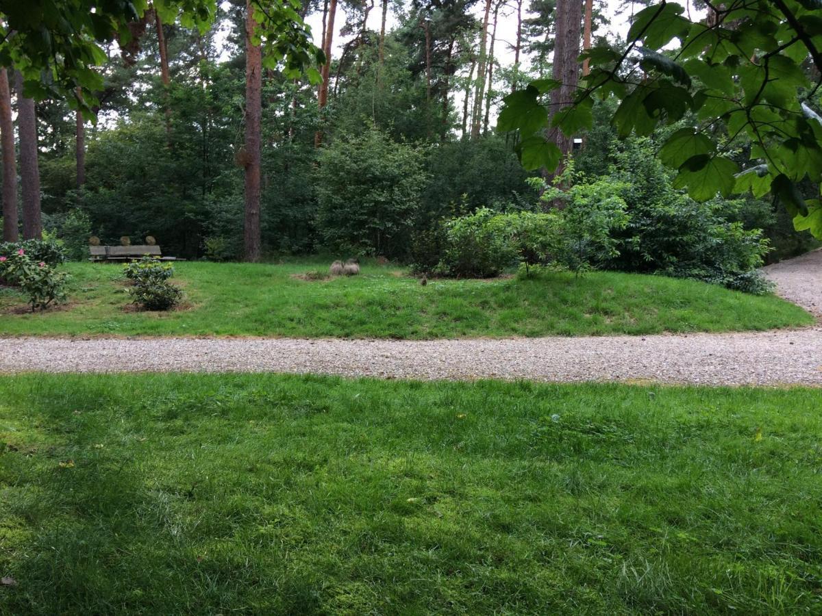 Het Fazantenbosje Villa Dalfsen Buitenkant foto
